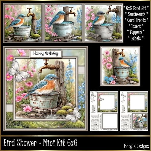 Bird Shower - Mini Kit 6x6
