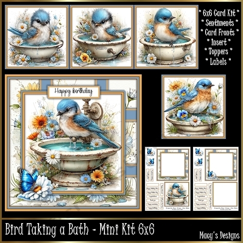 Bird Taking a Bath - Mini Kit 6x6