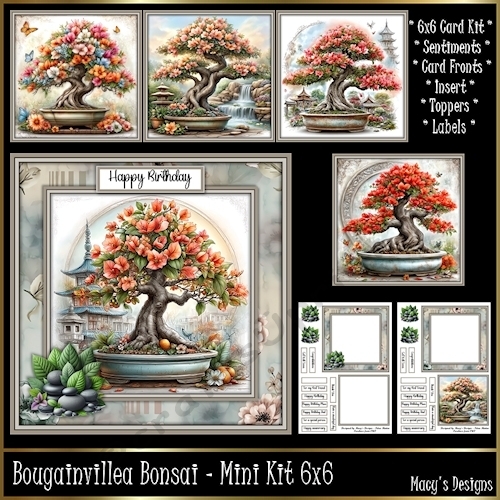 Bourgainvillea Bonsai - Mini Kit 6x6