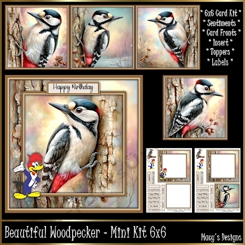 Beautiful Woodpecker - Mini Kit 6x6