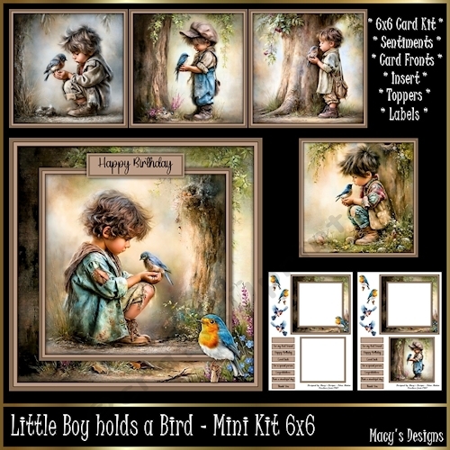 Little Boy holds a Bird - Mini Kit 6x6