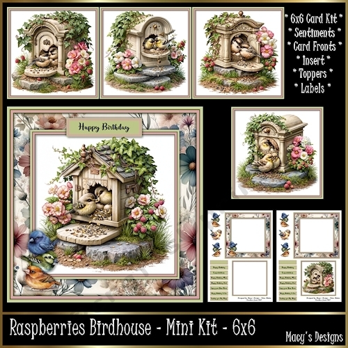 Raspberries Birdhouse - Mini Kit 6x6