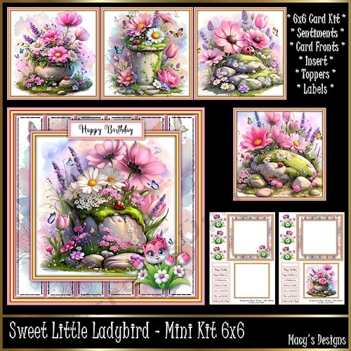 Sweet Little Ladybird - Mini Kit 6x6