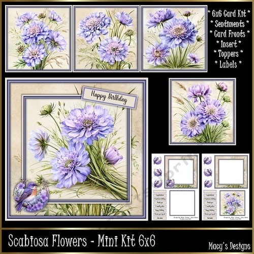 Scabiosa Flowers - Mini Kit 6x6