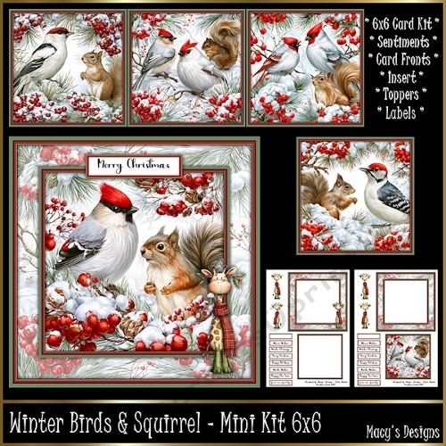 Winter Birds and Squirrel - Mini Kit 6x6