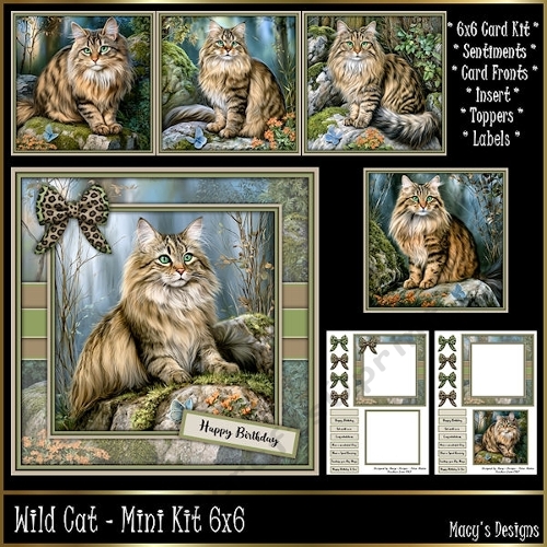 Wild Cat  - Mini Kit 6x6
