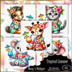 Tropical Summer