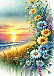 A4 - Sunset 1