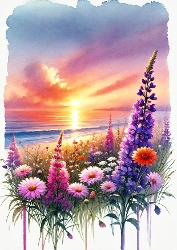 A4 - Sunset 2