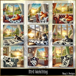 Bird Watching