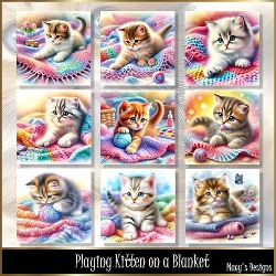 Playing Kitten on a Blanket