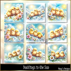 Ducklings in the Sun