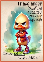 Dont Duck with Me