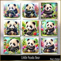 Little Panda Bear