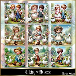 Walking with Geese