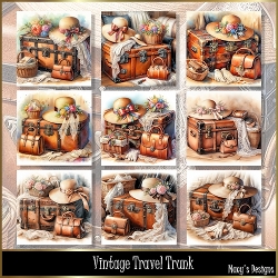 Vintage Travel Trunk