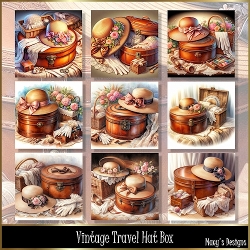 Vintage Travel Hat Box