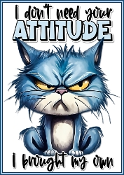 I dont need your Attitude