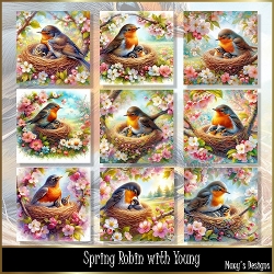 Spring: Robin with Young - Illustrations for Cards
