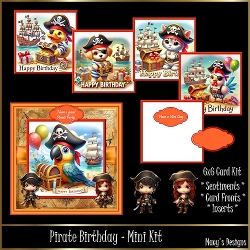 Pirate Birthday - Mini Kit