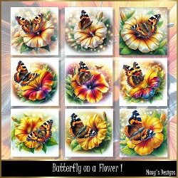 Butterfly on a Flower - Illustrations for Cards