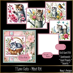 I Love Cats - Mini Kit