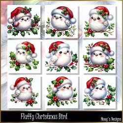 Fluffy Christmas Bird - Illustrations for Cards