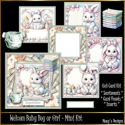 Welcome Baby Boy or Girl - Mini Kit