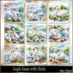 Couple Swans with Chicks - Illustrations for Cards