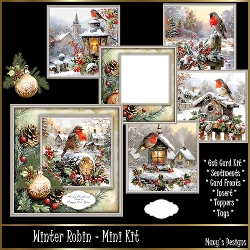 Winter Robin - 6x6 Mini Kit