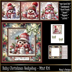 Baby Christmas Hedgehog - Mini Kit REQUEST 8x8
