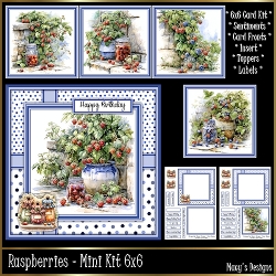 Raspberries - Mini Kit 6x6