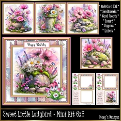 Sweet Little Ladybird - Mini Kit 6x6
