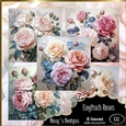 Englisch Roses