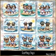 Surfing Dogs - Illustrations for Cards