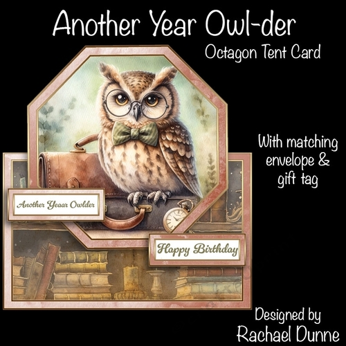 Another Year Owl-der Octagon Tent Card