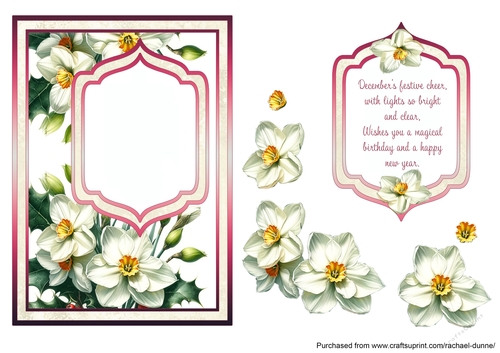December Birth Flower Fancy Frame