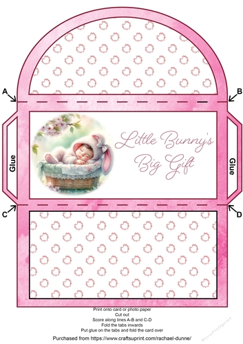 Little Bunnys Big Gift Money Wallet