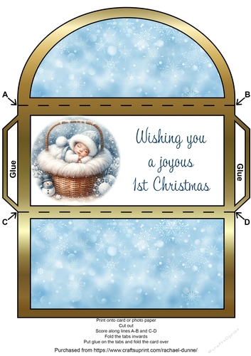 Snowflake Babe Money Wallet