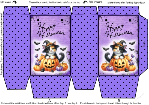 Cat with Bats Mini Gift Bag