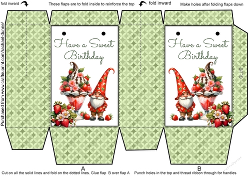 Gnomes Strawberry Sundae Birthday Mini Gift Bag