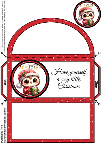 Cosy Christmas Owl Money Wallet
