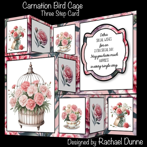 cup1399150_75068 - Carnation Bird Cage Three Step Mini Kit