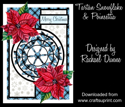 Tartan Snowflake & Poinsettia