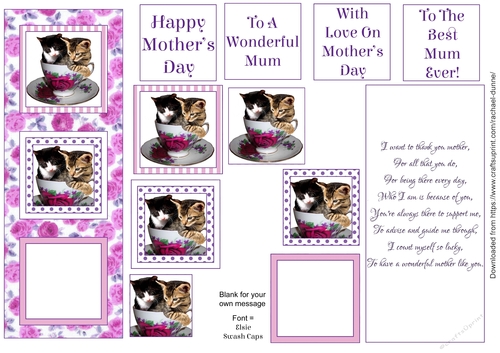 Kitties in a Teacup with Verse (Mothers Day)