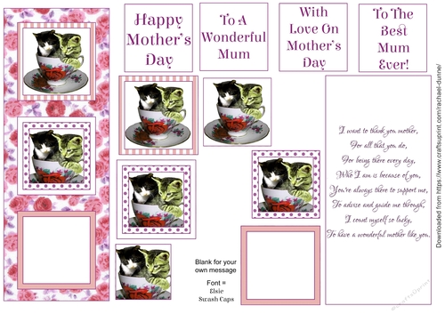 Mothers Day Kitties in a Teacup (Red Roses)