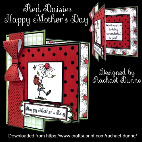 Red Daisies Mothers Day
