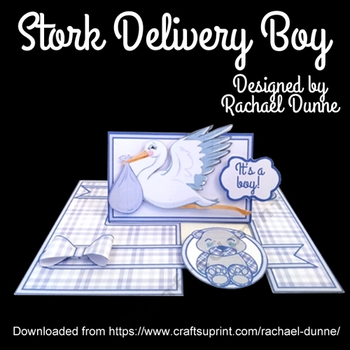 Stork Delivery Boy
