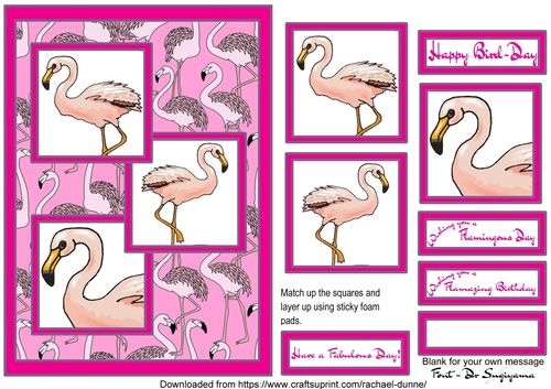 Happy Bird-day bright pink