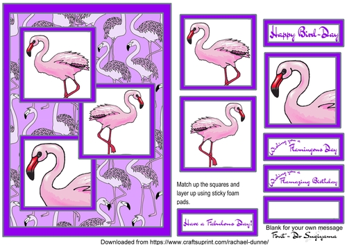 Happy Bird-day bright purple